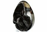 Septarian Dragon Egg Geode - Sparkly Black Crystals #308804-2